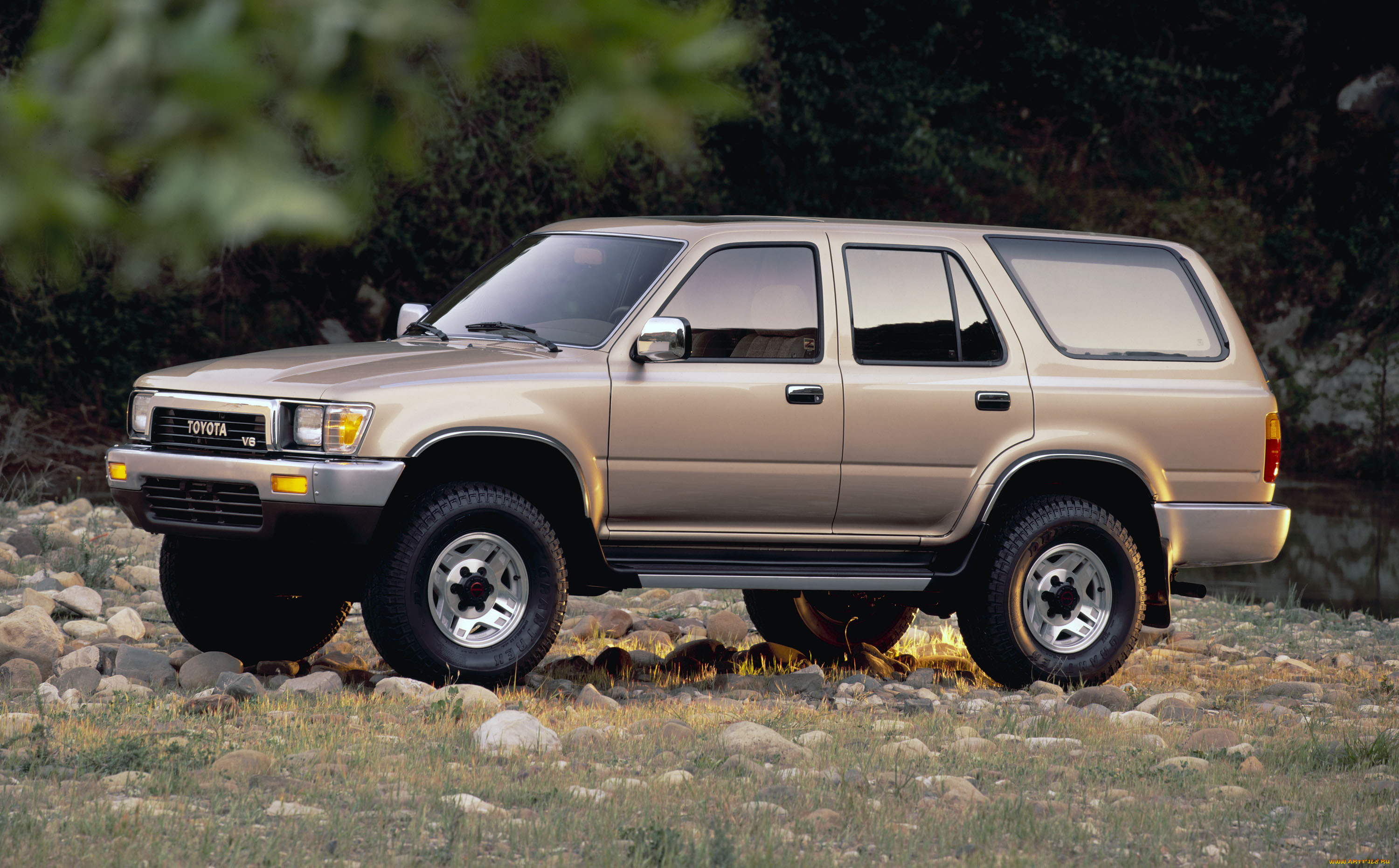 , toyota